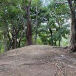 【東海随一の古墳】名古屋の古墳巡り：三英傑の前に広がる歴史を感じる旅