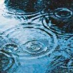 【今年も雨多い？】梅雨シーズン到来！西から雲が広がる天気の行方