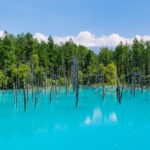 【北海道も暑い？】全国的に異常気象？北海道の釧路・根室の予想外の暑さ