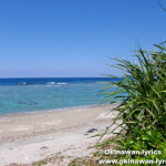 【聖域】辺戸ノ安須森の本当の姿と守りたい自然！！