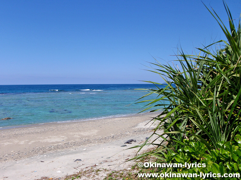 【聖域】辺戸ノ安須森の本当の姿と守りたい自然!!