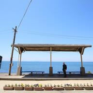 【ポスターの世界】四国の美しい風景と秘密の駅を巡る！鈍行列車の旅