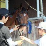 【親子で楽しむ！】夏休みの特別イベントレポ：栗東トレセン体験ツアーの魅力
