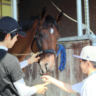 【親子で楽しむ！】夏休みの特別イベントレポ：栗東トレセン体験ツアーの魅力