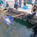 【釣った魚で漁師めし！】紀北町で楽しむ絶品漁師めしと愛犬と泊まれるヴィラ