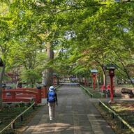 【1300年を感じる！】九州最古の木造建築、富貴寺大堂の未知の魅力とは？