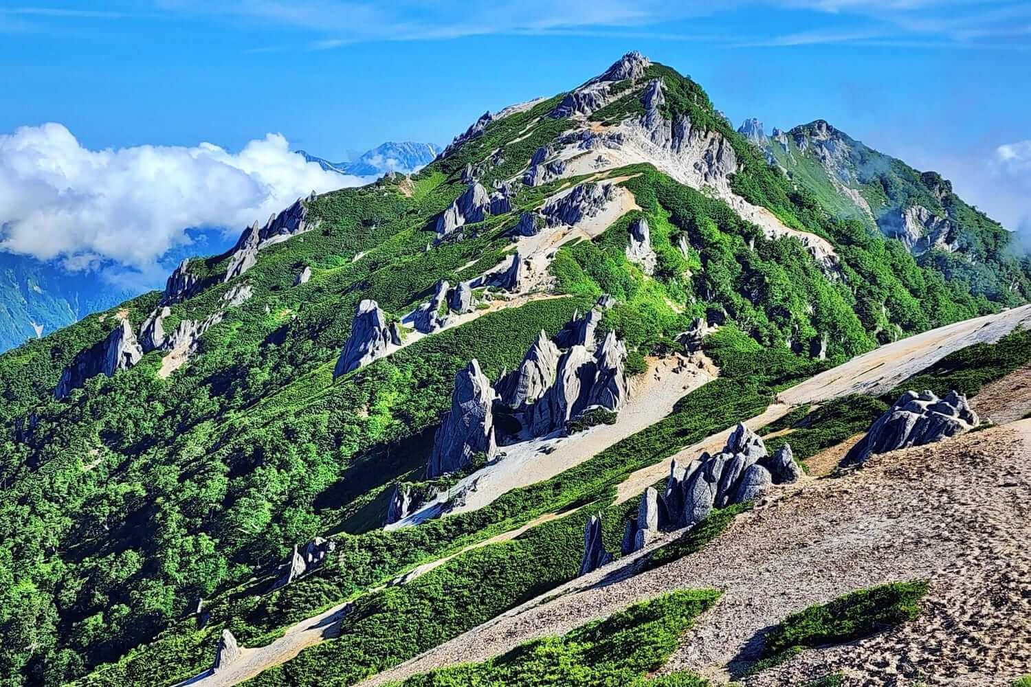 【夏の絶景！】北アルプスの絶景！根子岳と四阿山の登山ガイド