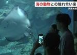 【親子で水族館に癒される！】秋田・男鹿市の水族館で楽しむ親子の1泊旅行