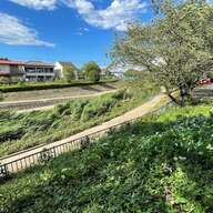 【本庄城の歴史を深掘り！】埼玉の隠れた名城、本庄城を探訪する旅