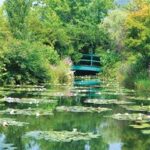 【秋の高知は必見！】絶対行きたいパワースポットを超厳選しました