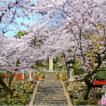 【パワースポット】京都の歴史を感じる！織田信長を祀る建勲神社の魅力