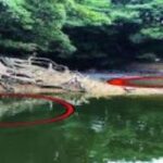 【冒険の記録】亀山ダム秘境釣り探訪：地図にないエリアでの挑戦と大物の予感