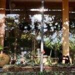 【長府の特別なイベント】今週末の下関・長府のおしゃれな雑貨店で特別な出会いを！