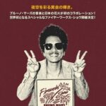 【日本の花火が演出！】「BrunoMarsFireworks2025」花火と音楽のコラボイベントの魅力に迫る