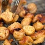 【10月4日ご当地イベント！】『あつぎ鮎×コロまつり』で味わう厚木のＢ級グルメ特集