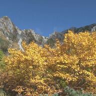 【見ごろ到来！】中央アルプス千畳敷の紅葉が最高！観光客の声を聞いてみた