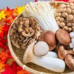 【痛みやすい？】キノコの賞味期限が無い理由と正しい保存方法