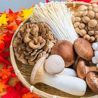 【痛みやすい？】キノコの賞味期限が無い理由と正しい保存方法