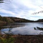 【初心者も】北八ヶ岳の絶景ハイキングコース！秋の苔と紅葉を楽しめるルート