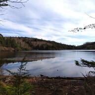 【初心者も】北八ヶ岳の絶景ハイキングコース！秋の苔と紅葉を楽しめるルート