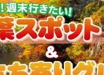【絶景を楽しもう！】札幌近郊の紅葉スポットとグルメ旅