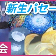 【町中水族館？】水族館と美術館の融合！新生パセーラの魅力を探る