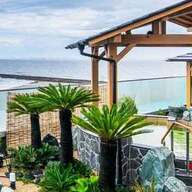 【2025年版！】食事が美味しい温泉・スーパー銭湯を厳選しました！