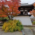 【奈良のお寺】世界遺産・興福寺の魅力とパワースポットとしての実力