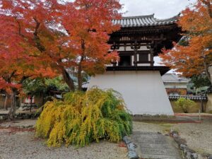 【奈良のお寺】世界遺産・興福寺の魅力とパワースポットとしての実力