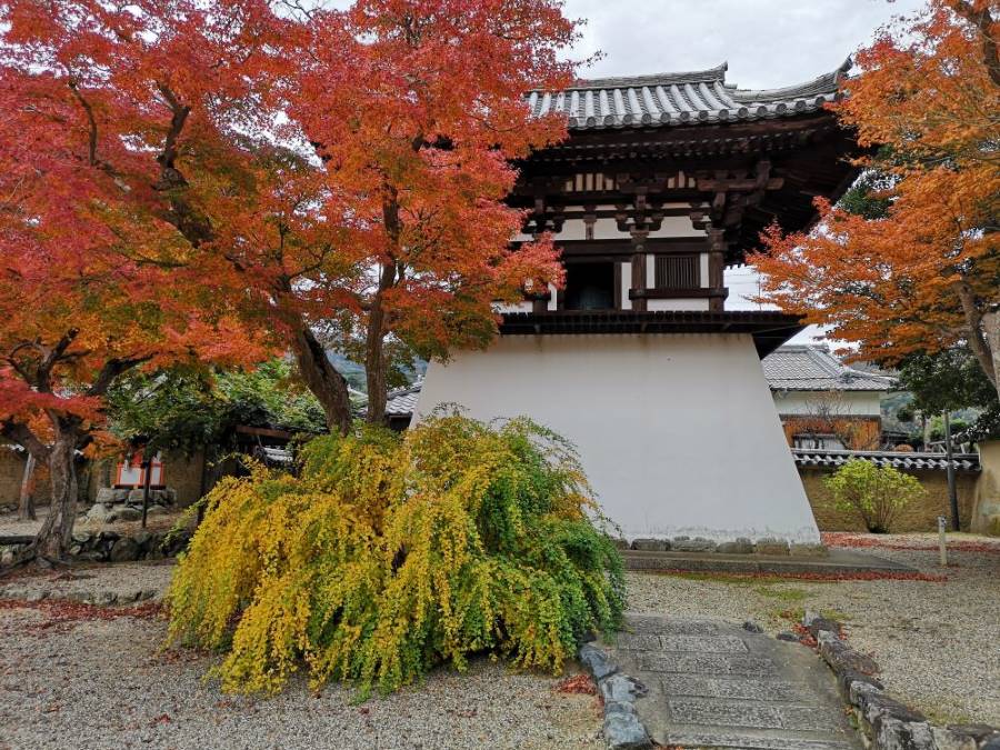 【奈良のお寺】世界遺産・興福寺の魅力とパワースポットとしての実力