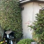 【秋です。京都行こう！】車折神社の歴史と災難除けの秘密