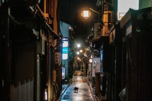 【京都の隠れた名店】ジャパニーズウイスキー専門バー「seven KYOTO」で大人の時間を