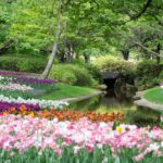 【花と緑の祭典！】横浜の園芸博「FLOWER Fes 2026 FINAL」で季節の彩りに出会う