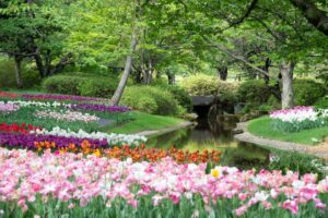 【花と緑の祭典！】横浜の園芸博「FLOWER Fes 2026 FINAL」で季節の彩りに出会う