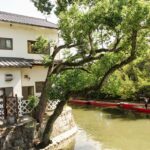 【ブラタモリ】柳川の水郷美を歩く。掘割と川下りの町を訪ねて
