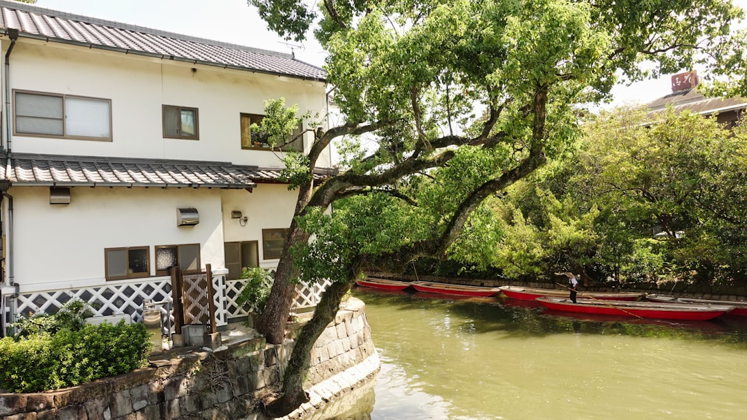 【ブラタモリ】柳川の水郷美を歩く。掘割と川下りの町を訪ねて