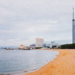 【お得！】スターフライヤーで東京・福岡を快適に　7月の臨時便で特別運航