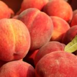 【初夏の味覚！】関空でピーチ×紀の川市のコラボイベント「Peachful Day」開催
