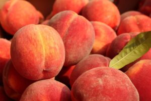【初夏の味覚！】関空でピーチ×紀の川市のコラボイベント「Peachful Day」開催