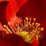 【涼しさ満点！】浅草花やしきの水あそび広場で夏を満喫