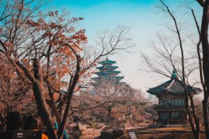 【格安！】イースター航空の日韓線が片道50円から　夏旅行の計画に