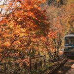 【秋旅がお得！】JR東日本びゅうの秋先取りセール、寝台特急サンライズで行く旅