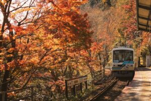 【秋旅がお得！】JR東日本びゅうの秋先取りセール、寝台特急サンライズで行く旅