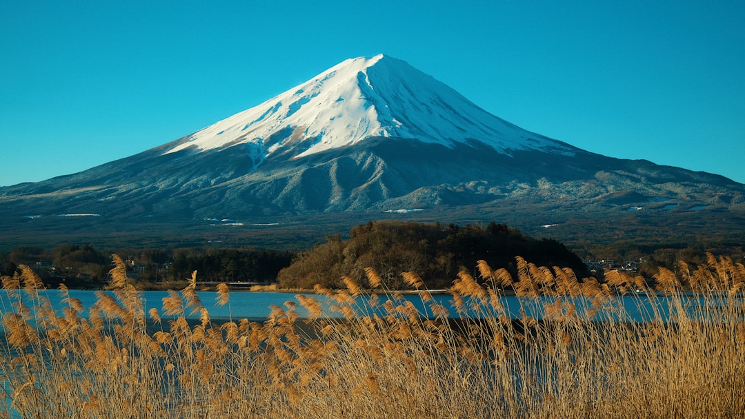 【富士山を眺めながら】開業3周年を迎えた中湖のグランピングリゾート