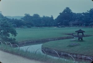 便利！FEDECA『つかみのトング』で調理がぐんとラク