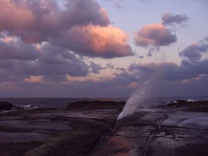 夕日ヶ浦温泉で夏グルメ！旅亭櫂の特選会席で丹後の育成岩がきを堪能