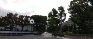 【お得！】白浜の絶景温泉「TAOYA白浜千畳」が最大30%オフ。夕陽と露天風呂、まぐろ三昧の贅沢