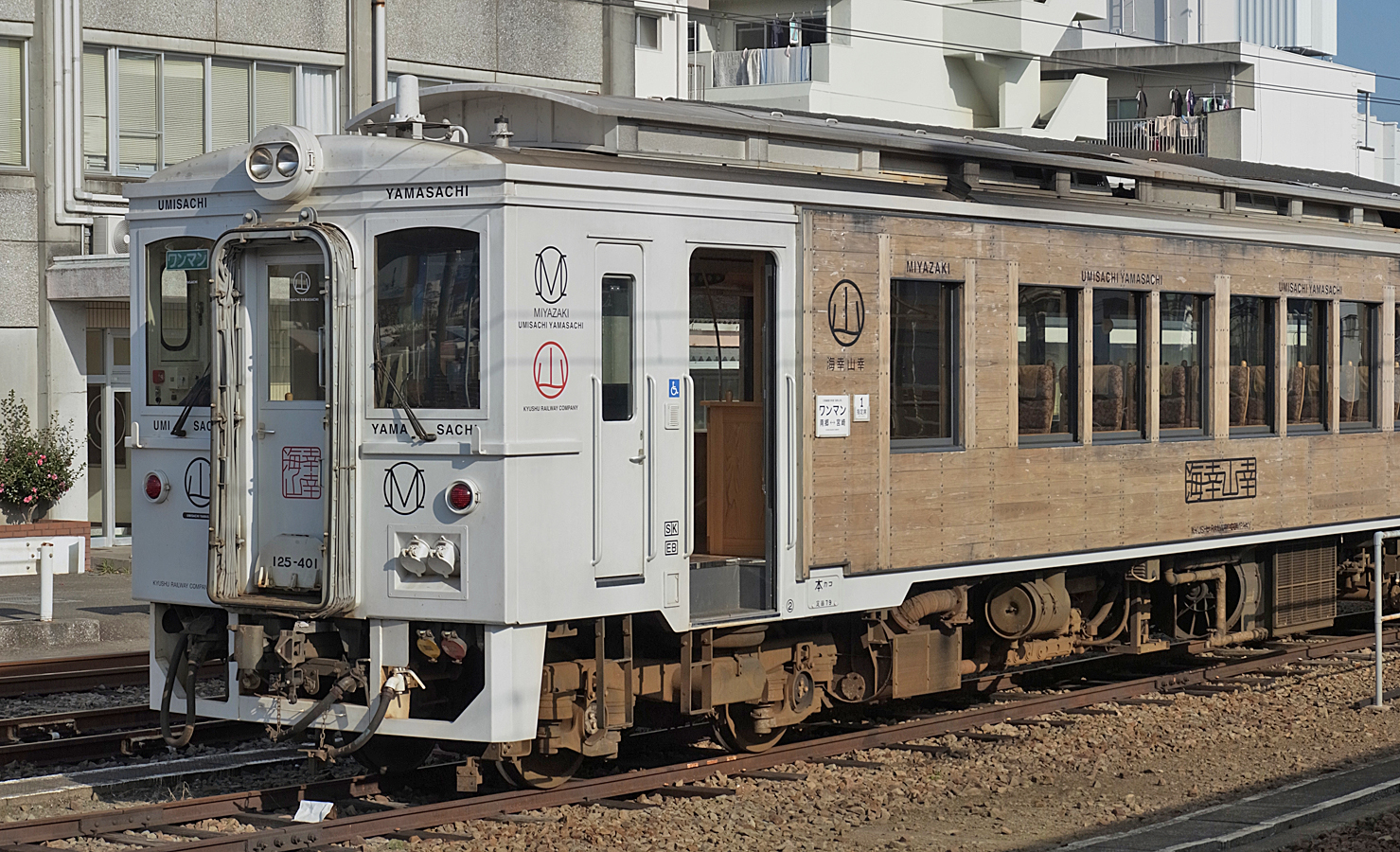 【大人の旅】E655系「なごみ」で約12時間!新宿から南小谷への優雅な列車の旅