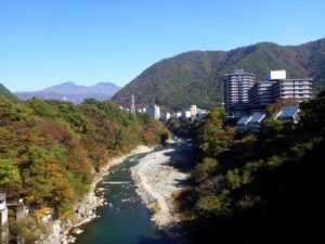 【愛犬と一緒に!】奥日光の温泉旅館に全犬種対応ドッグラン新設