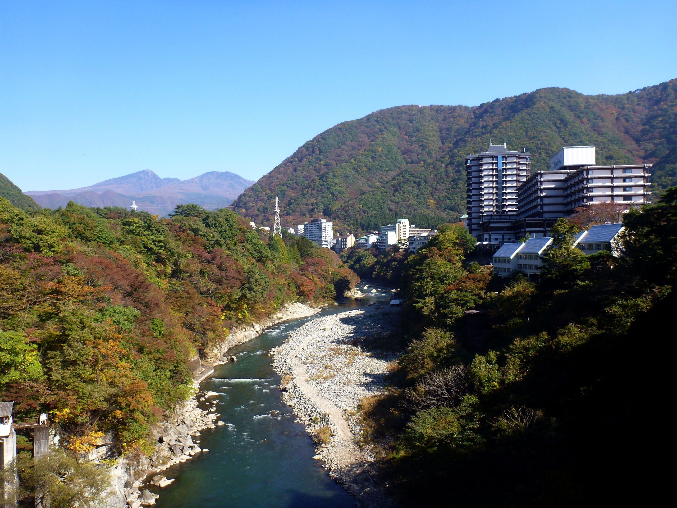 【愛犬と一緒に!】奥日光の温泉旅館に全犬種対応ドッグラン新設
